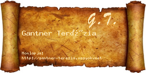 Gantner Terézia névjegykártya